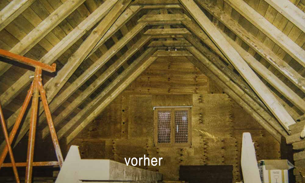 Ausbau & Sanierung - Dachausbauten, Raumgestaltung und Abhängen von Decken